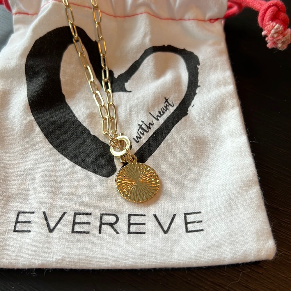 Evereve pendant toggle necklace, gold. Worn once.